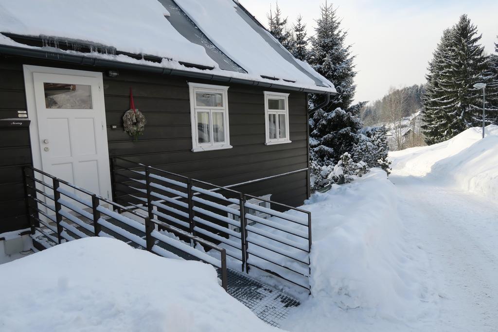 Horská Chata U Vleku Rokytnice nad Jizerou Kültér fotó